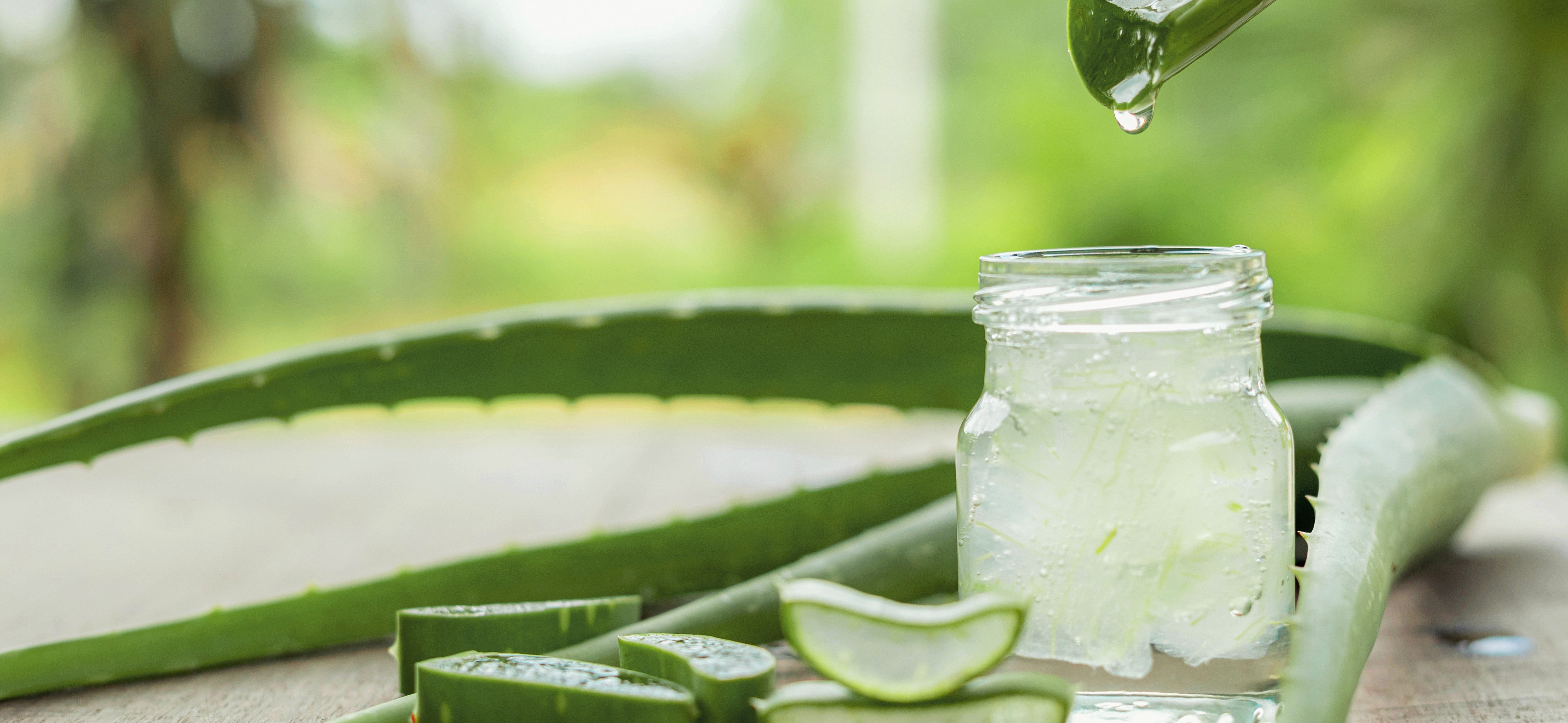 how to use aloe vera to hair Aloe Oil Controlling Shampoo